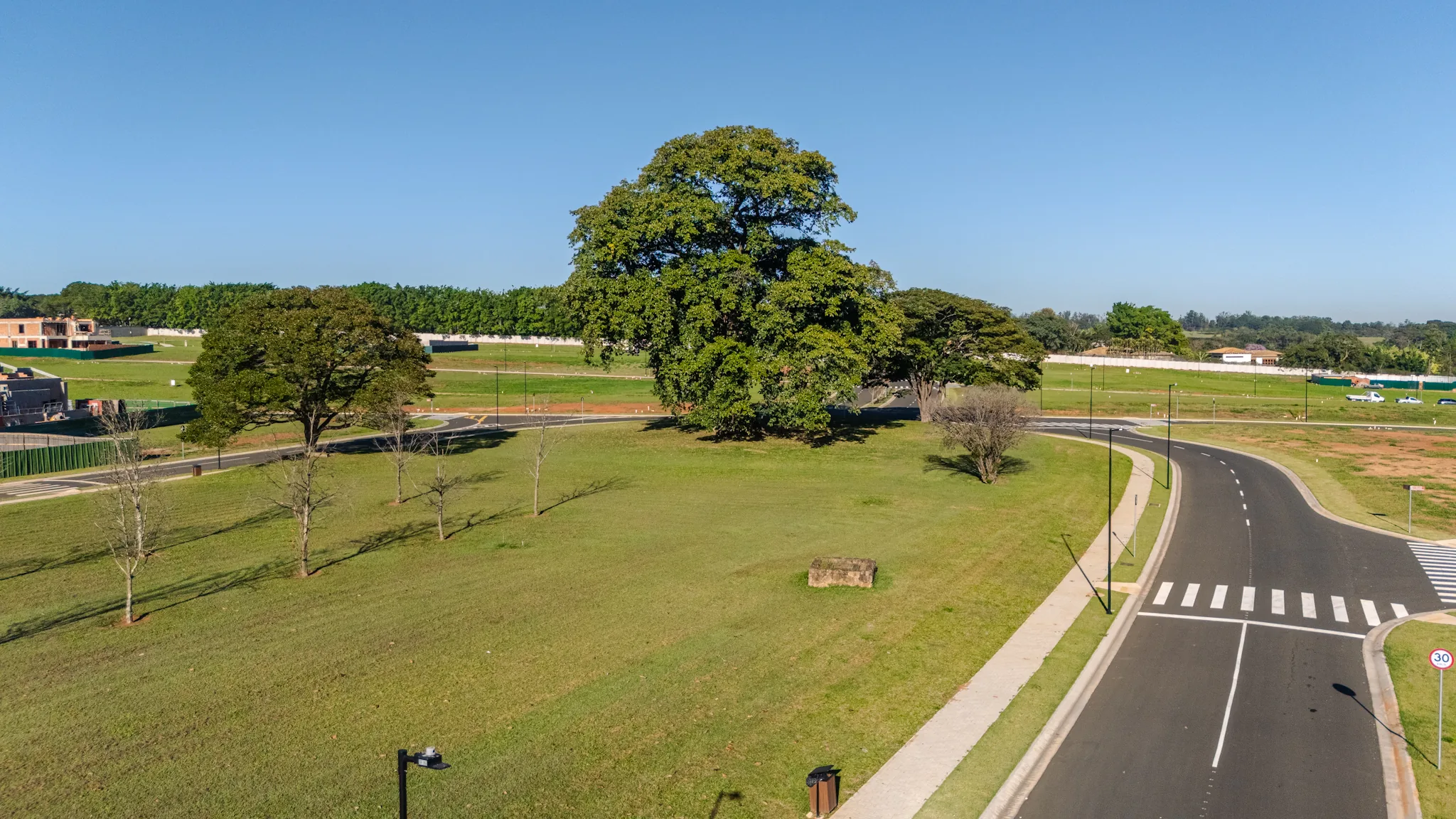 A figueira centenária no parque central do Reserva Itanhangá